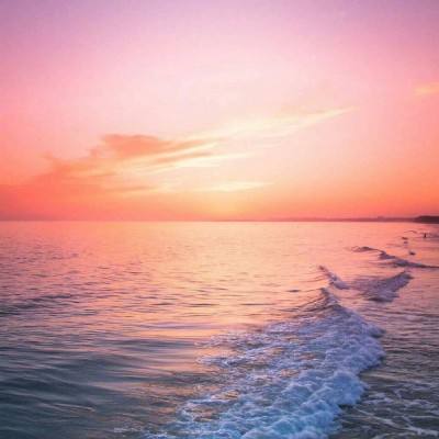 lol外围购买网站