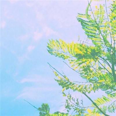 云开·全站APP登录入口