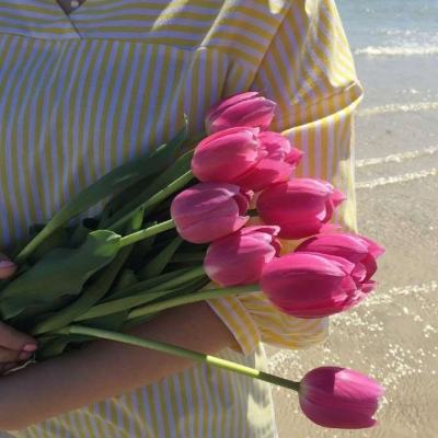 lol外围购买网站